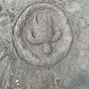 Meet your Posher, Connor